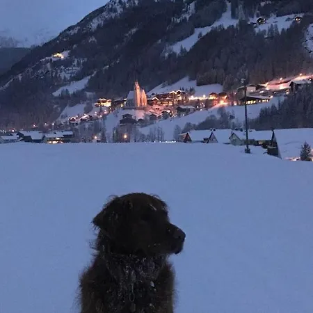 Casa de hóspedes - Restaurant - Sonnblick 3*