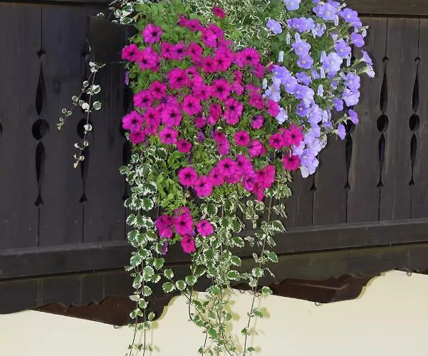 Maison d'hôtes - Restaurant - Sonnblick 3*