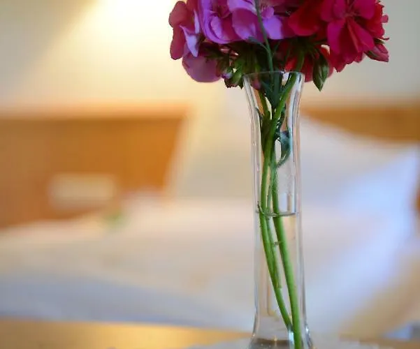 - Restaurant - Sonnblick בית הארחה 3*